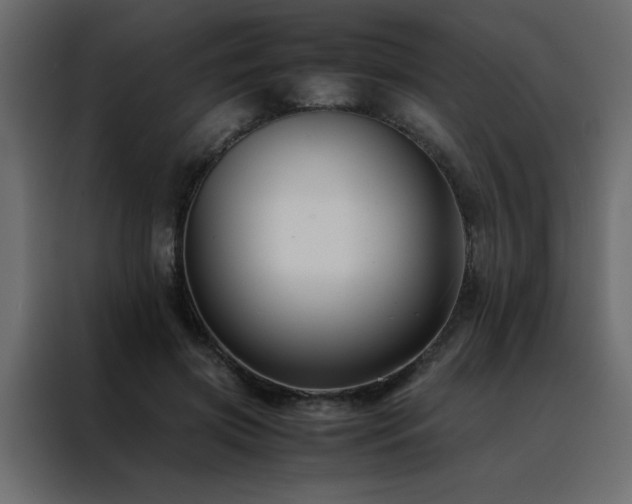 X0000088460549200705221345