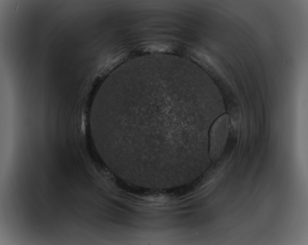 X0000088460551200705221345