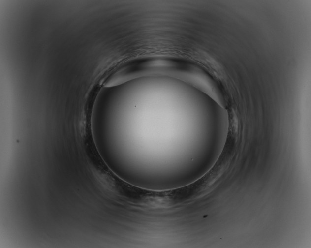 X0000088460552200705221345