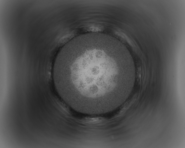X0000088460553200705221345