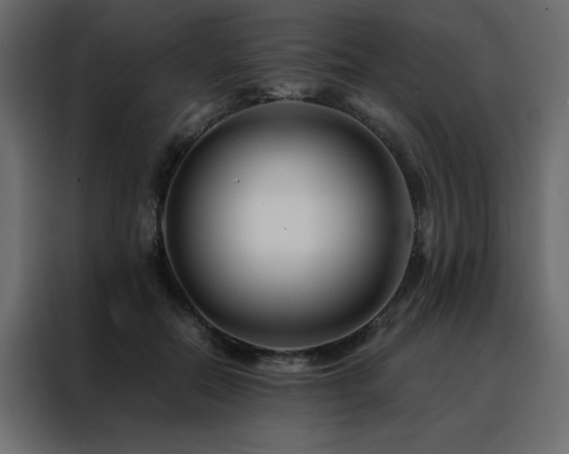 X0000088460554200705221345