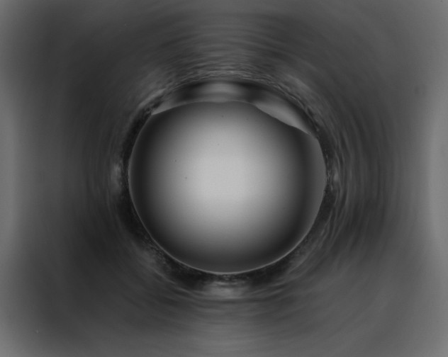X0000088460556200705221345