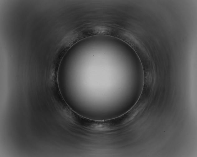 X0000088460557200705221345