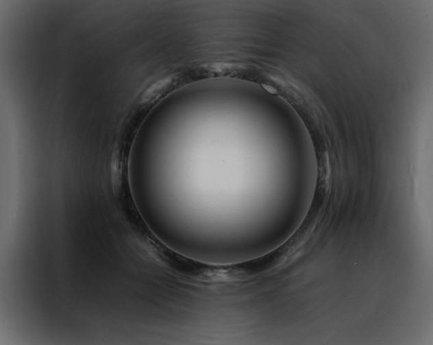 X0000088460558200705221345