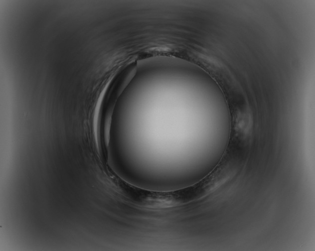 X0000088460559200705221345