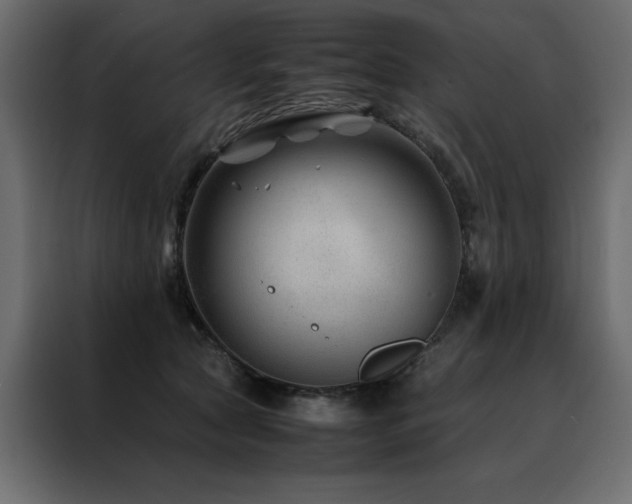 X0000088460561200705221345