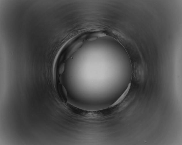 X0000088460562200705221345