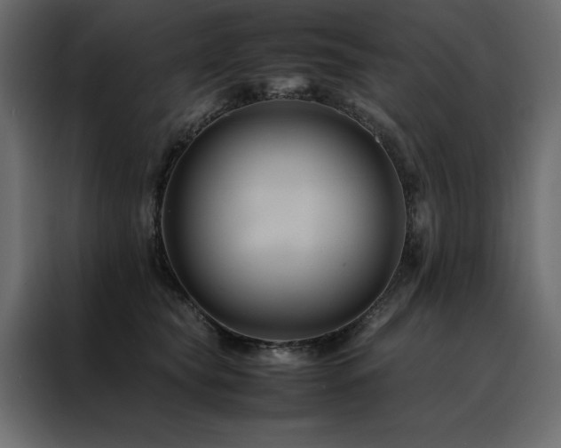 X0000088460565200705221345