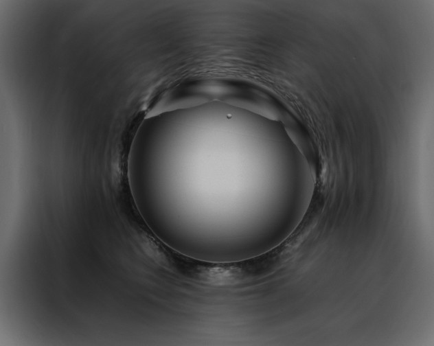 X0000088460566200705221345