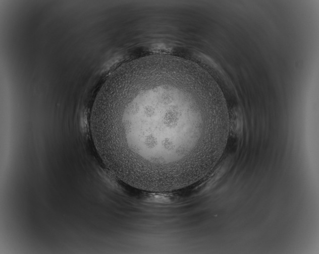 X0000088460573200705221345