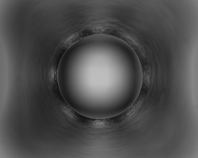 X0000088460574200705221345