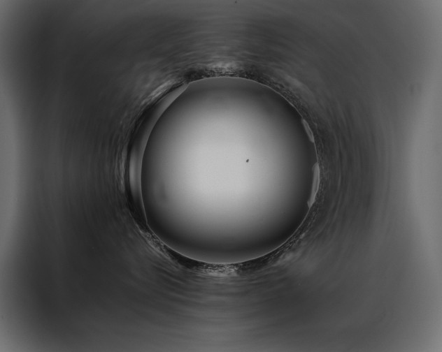 X0000088460576200705221345