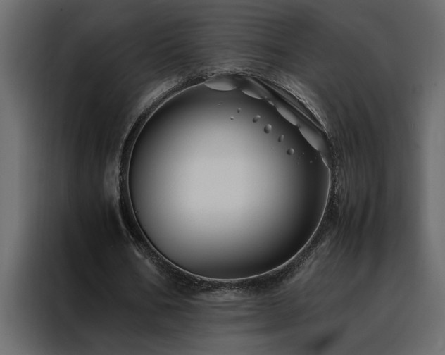X0000088460578200705221344