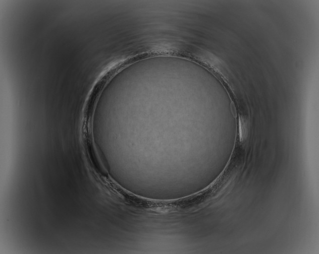 X0000088460579200705221344