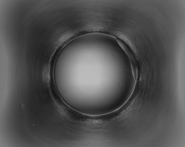 X0000088460582200705221344