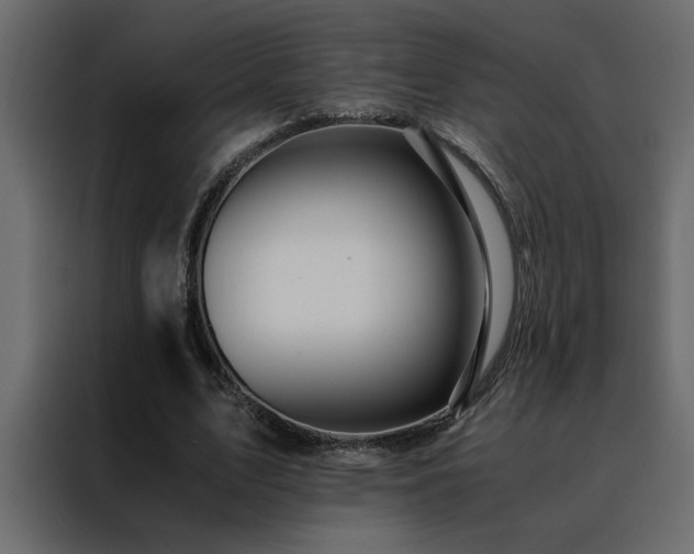 X0000088460583200705221344