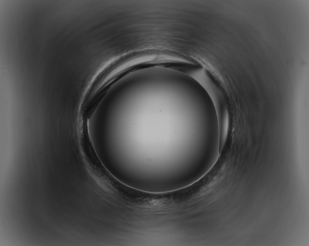 X0000088460584200705221344