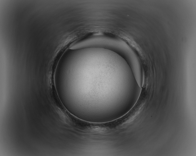 X0000088460585200705221344