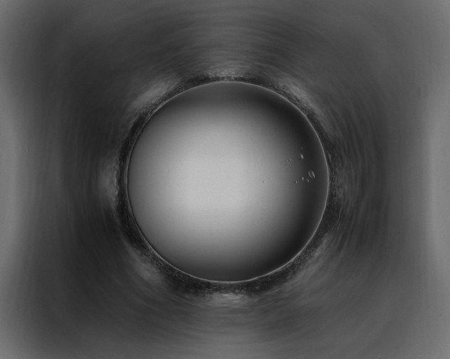 X0000088460586200705221344