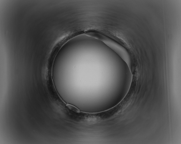 X0000088460587200705221344