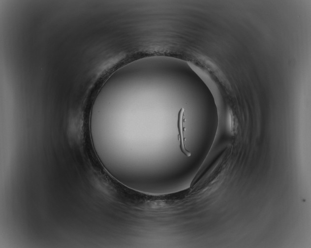 X0000088460588200705221344