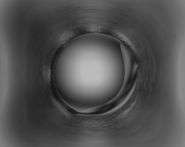 X0000088460589200705221344