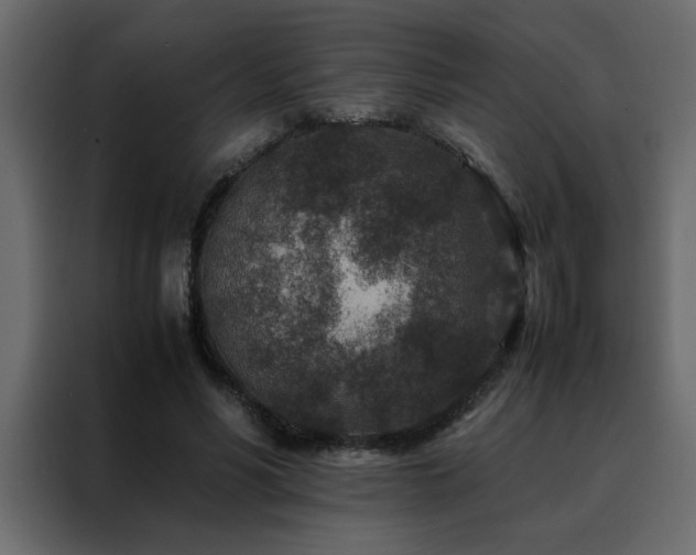 X0000088460590200705221344