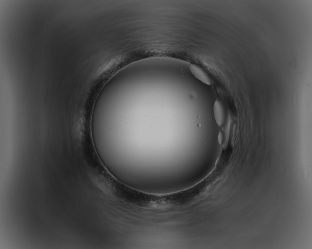 X0000088460591200705221344