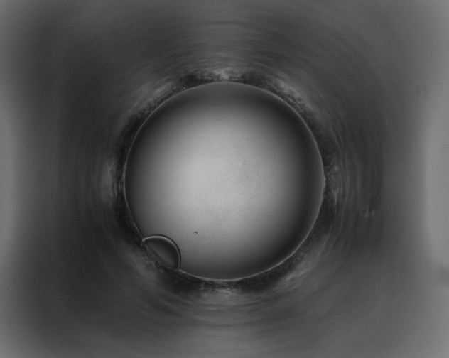 X0000088460594200705221344
