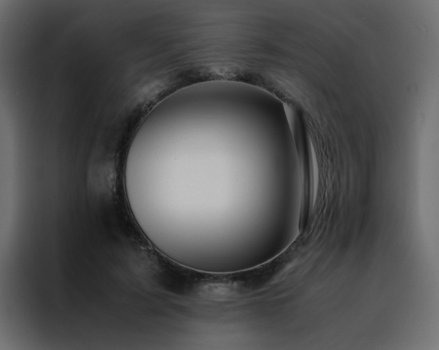 X0000088460595200705221344