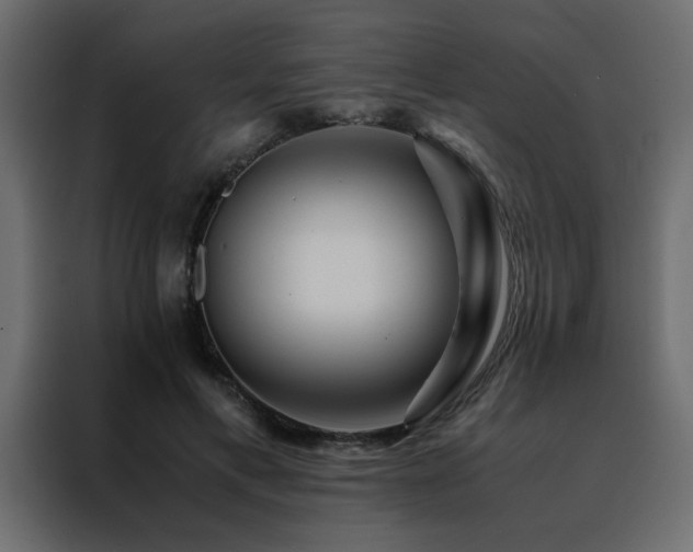 X0000088460597200705221344