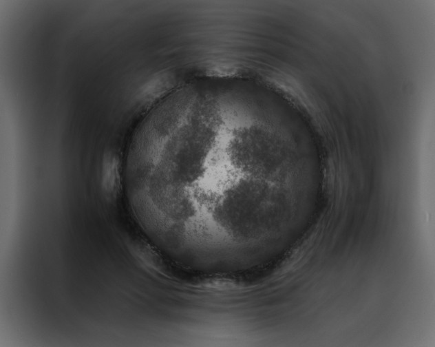 X0000088460598200705221344