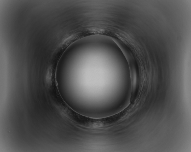 X0000088460600200705221344