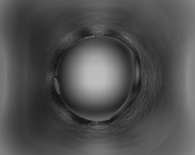 X0000088460601200705221344