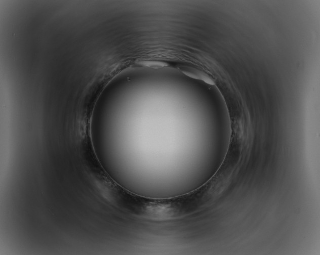X0000088460602200705221344
