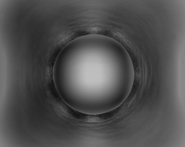 X0000088460605200705221344
