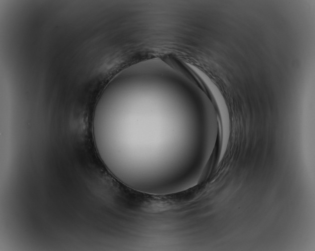 X0000088460608200705221344