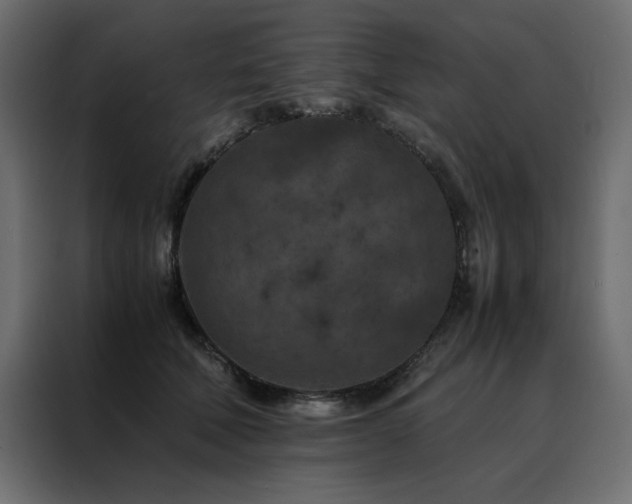 X0000088460610200705221344