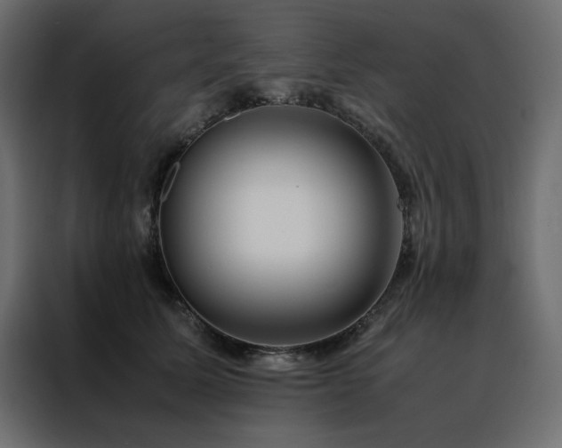 X0000088460611200705221344