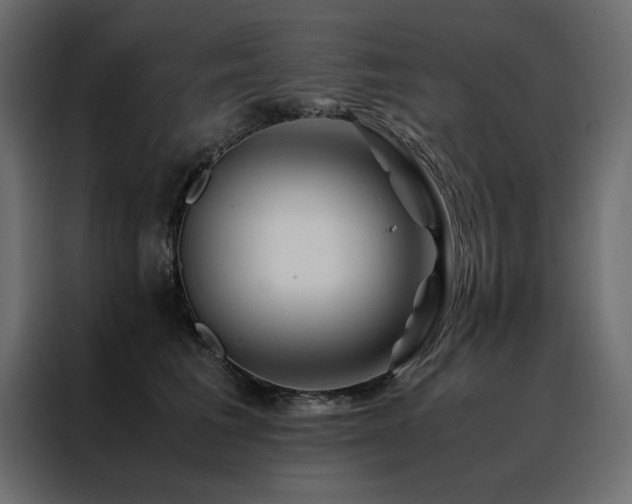 X0000088460613200705221344