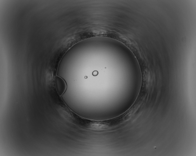 X0000088460614200705221344