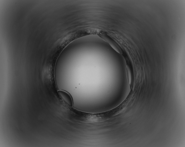 X0000088460616200705221344