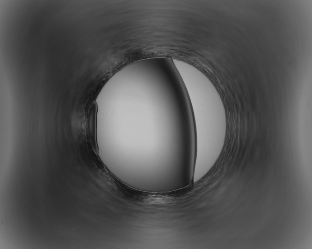 X0000088460617200705221344