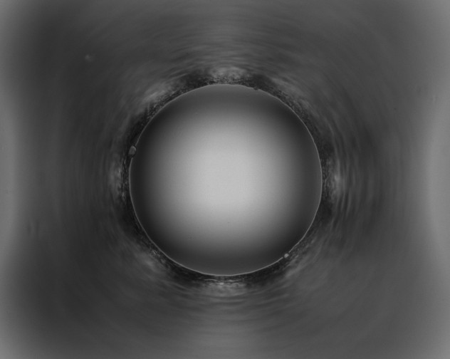 X0000088460619200705221344