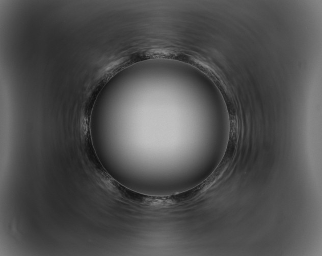 X0000088460621200705221344