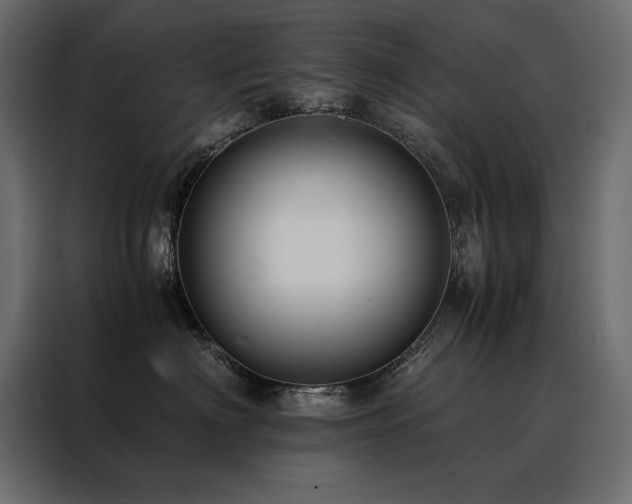 X0000088460622200705221344