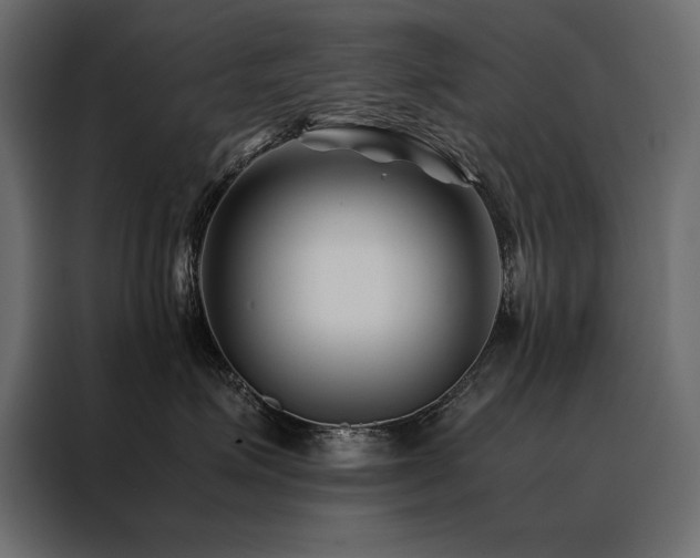 X0000088460623200705221344