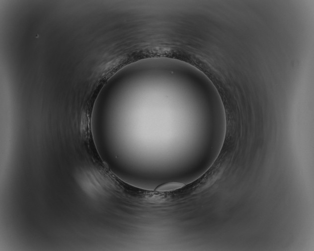 X0000088460624200705221344