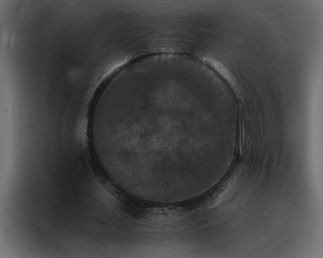 X0000088460627200705221343