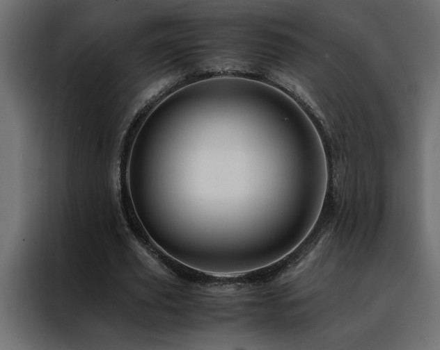 X0000088460629200705221343